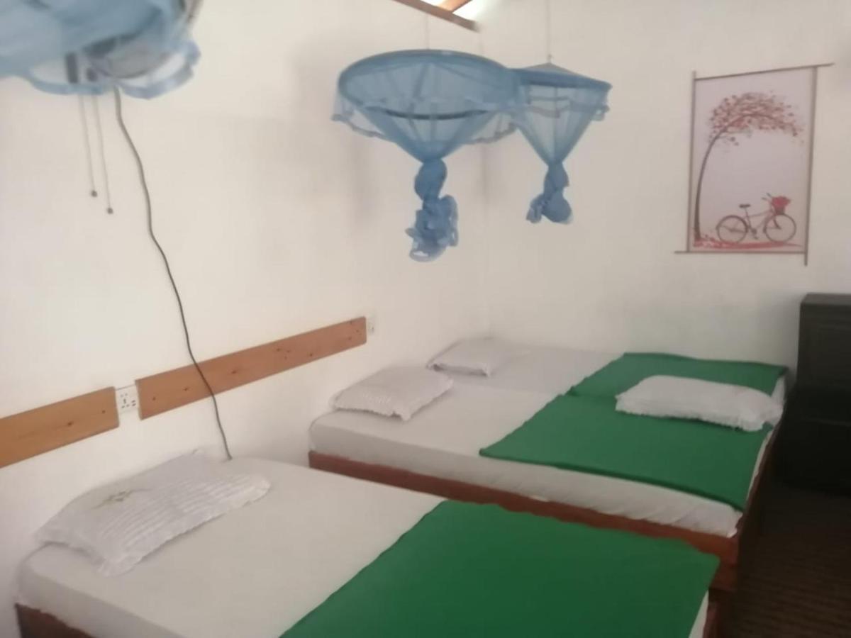 Ella Foret Hostel المظهر الخارجي الصورة
